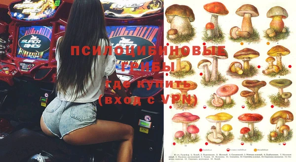прущий лед Новозыбков