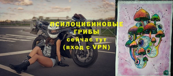 ALPHA PVP Алзамай